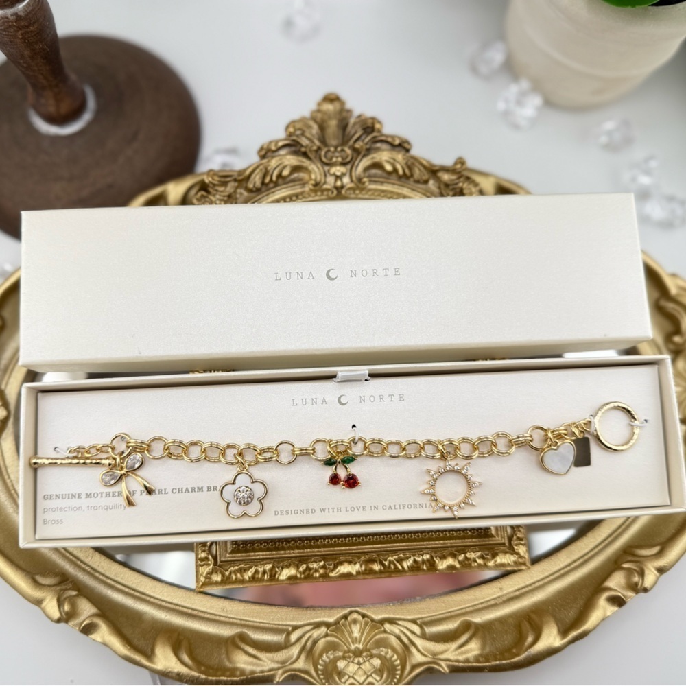 Luna Norte Mother of Pearl Charm Bracelet - Picture 3 of 5